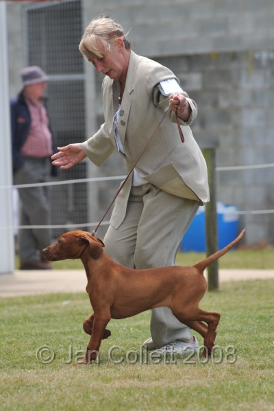 DOG_6707.JPG