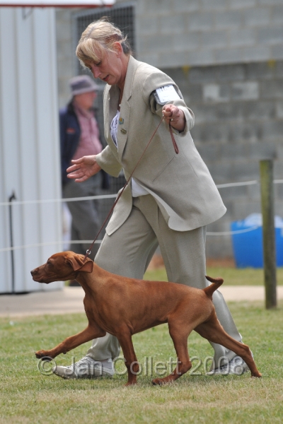 DOG_6708.JPG