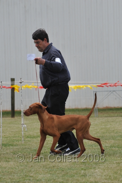 DOG_6713.JPG