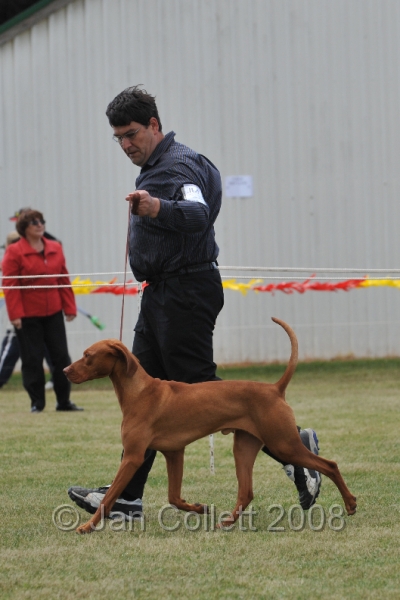 DOG_6715.JPG