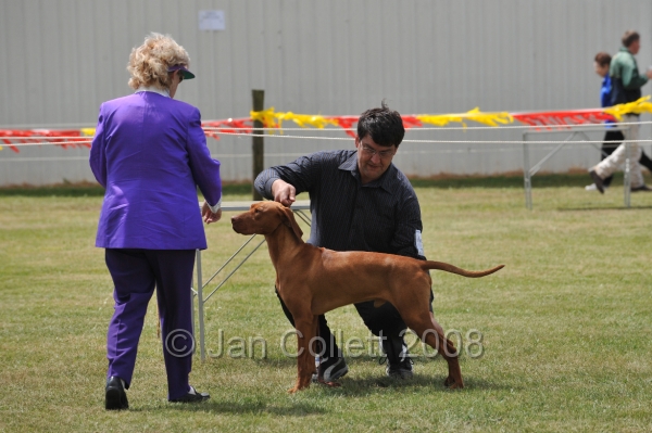 DOG_6719.JPG