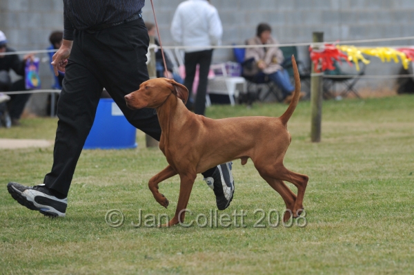 DOG_6726.JPG