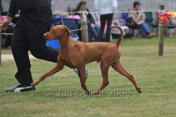 DOG_6727.JPG