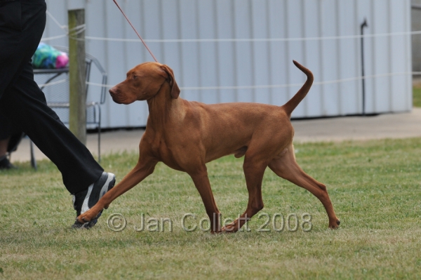 DOG_6731.JPG