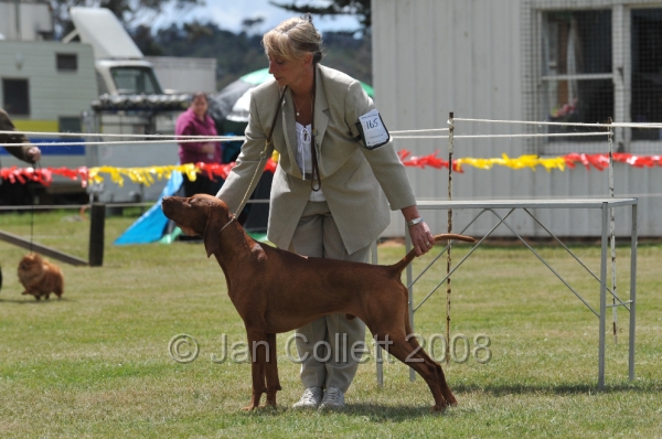 DOG_6734.JPG