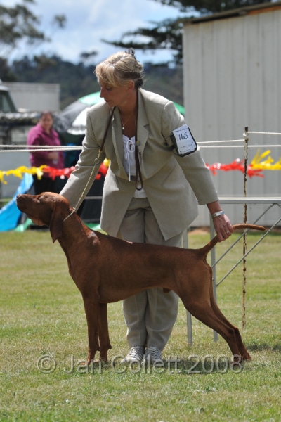 DOG_6735.JPG