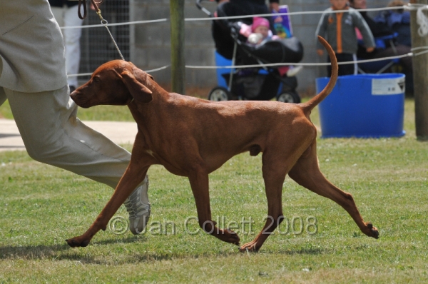 DOG_6738.JPG