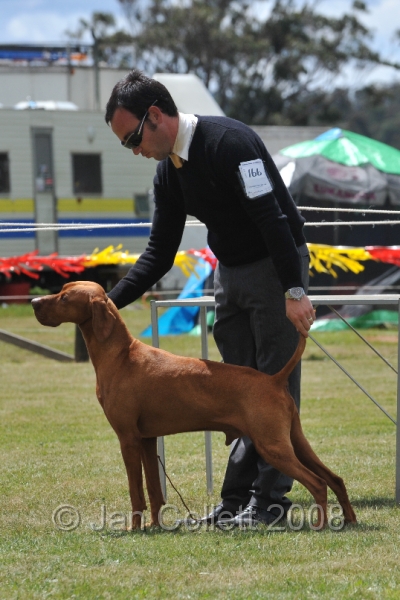 DOG_6742.JPG