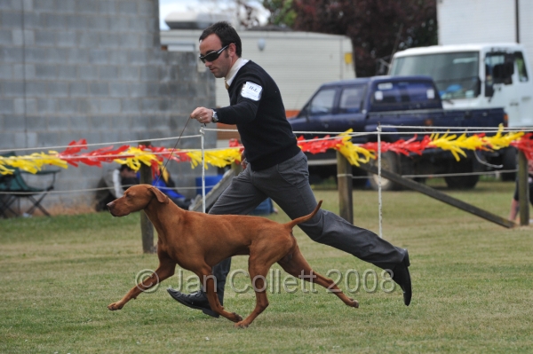 DOG_6743.JPG