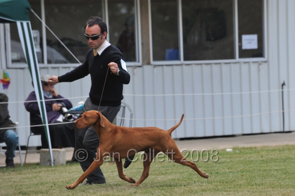 DOG_6747.JPG