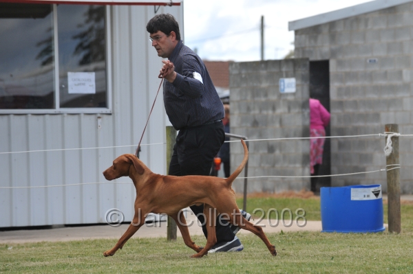 DOG_6749.JPG