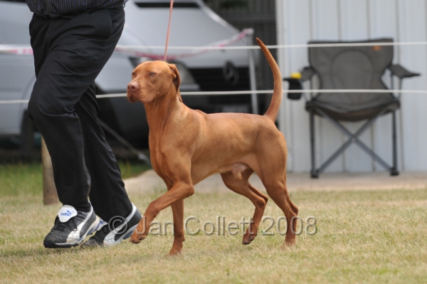 DOG_6751.JPG