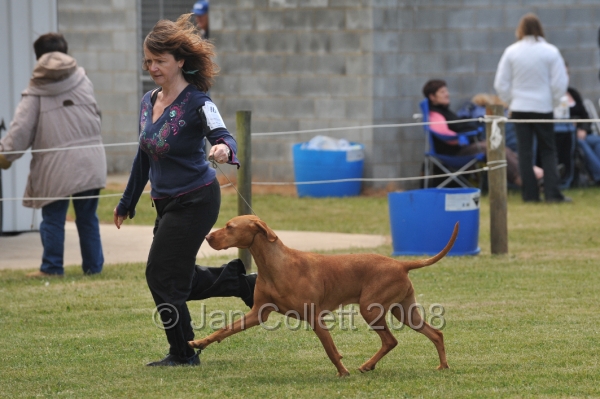 DOG_6759.JPG