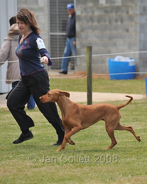 DOG_6760.JPG