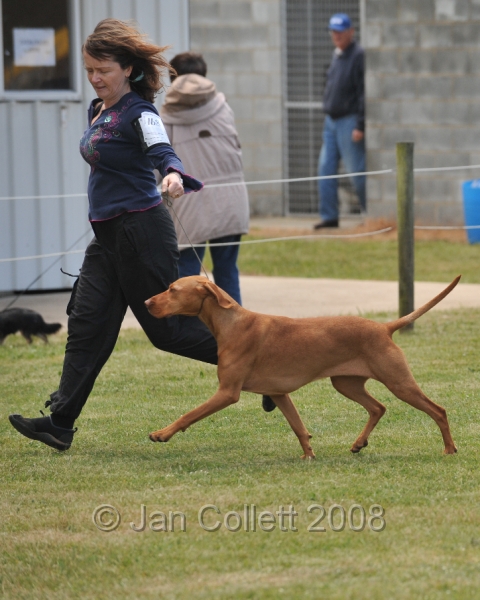 DOG_6761.JPG