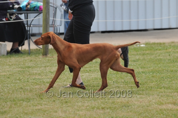 DOG_6767.JPG