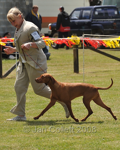 DOG_6772.JPG