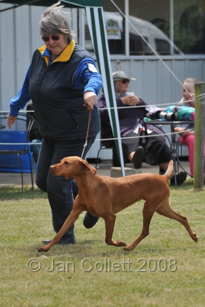DOG_6789.JPG