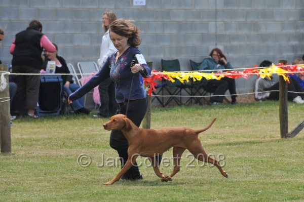 DOG_6799.JPG
