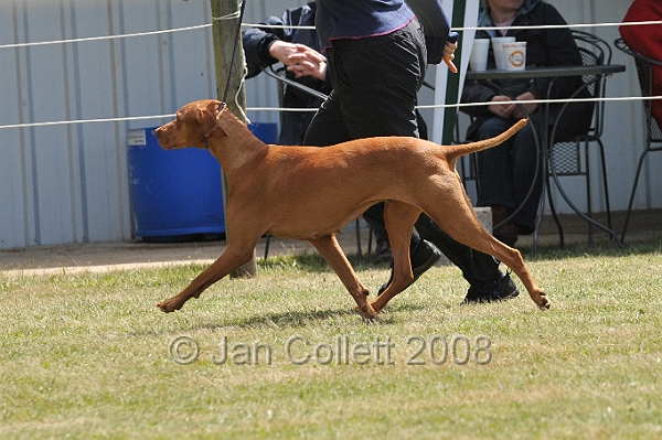 DOG_6801.JPG