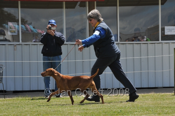 DOG_6806.JPG