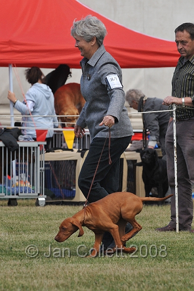 DOG_6826.JPG
