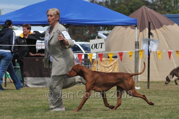 DOG_6829.JPG