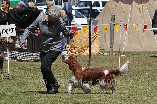 DOG_6867.JPG