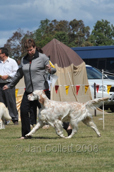 DOG_6885.JPG