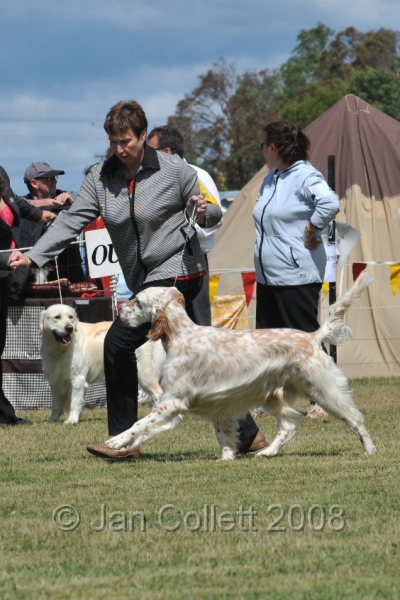 DOG_6887.JPG