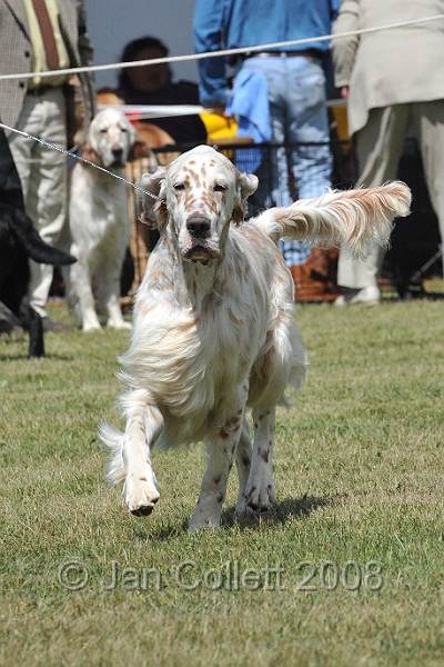 DOG_6890.JPG