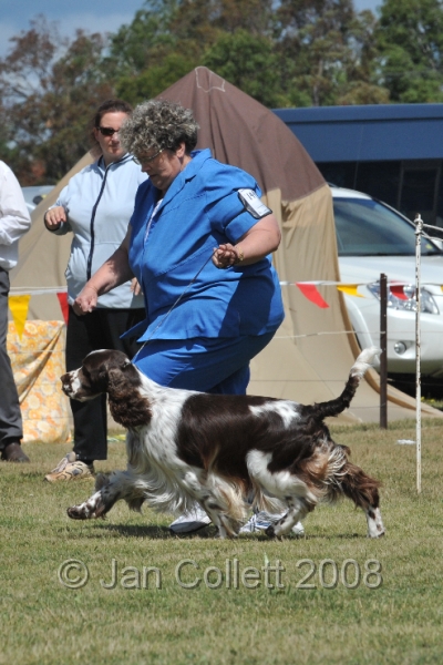 DOG_6894.JPG