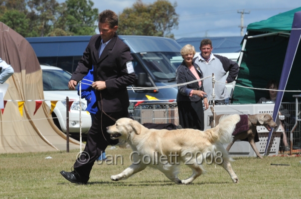 DOG_6901.JPG