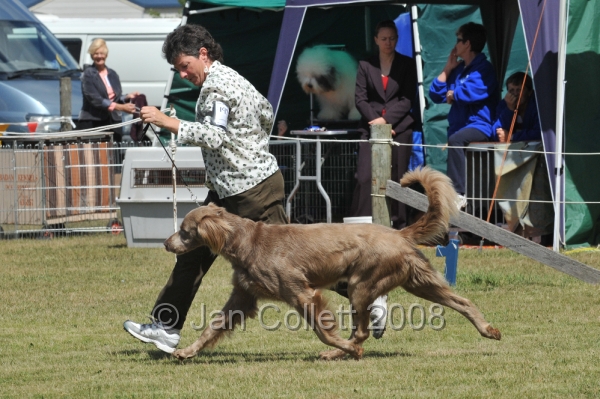 DOG_6938.JPG