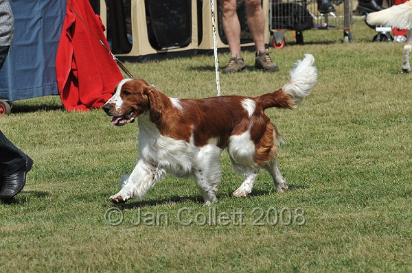 DOG_6949.JPG