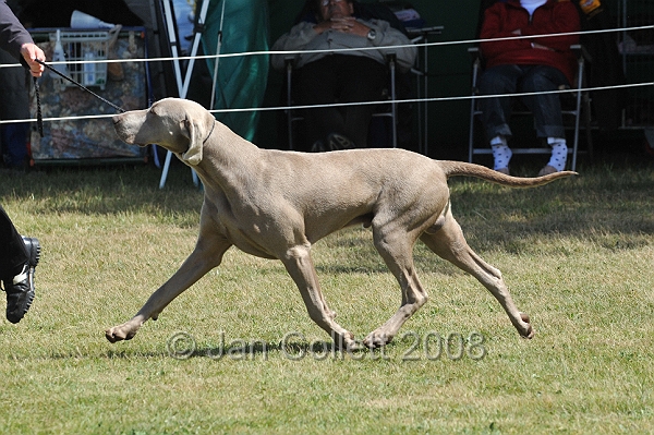 DOG_6968.JPG