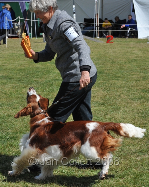 DOG_6975.JPG