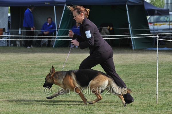 DOG_7271.JPG