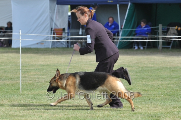 DOG_7273.JPG