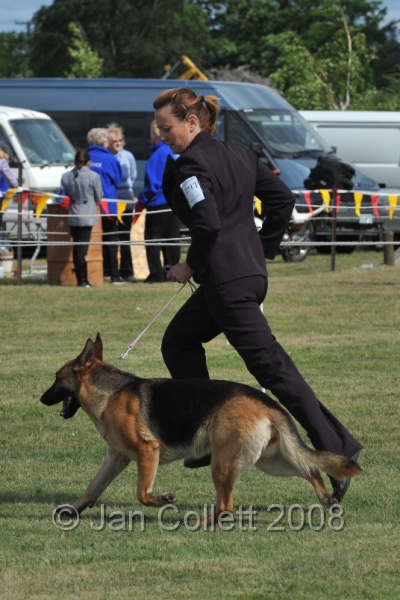 DOG_7275.JPG