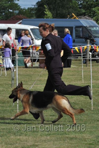 DOG_7276.JPG