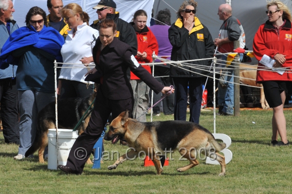 DOG_7278.JPG