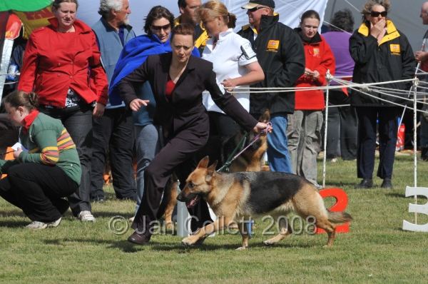 DOG_7280.JPG
