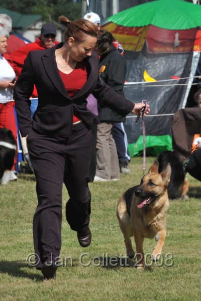 DOG_7282.JPG