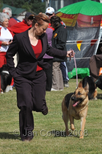 DOG_7283.JPG