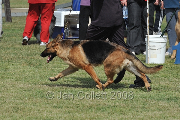 DOG_7284.JPG