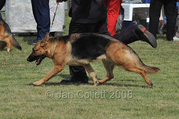 DOG_7286.JPG