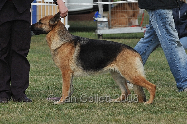 DOG_7338.JPG