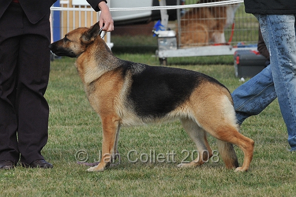 DOG_7339.JPG