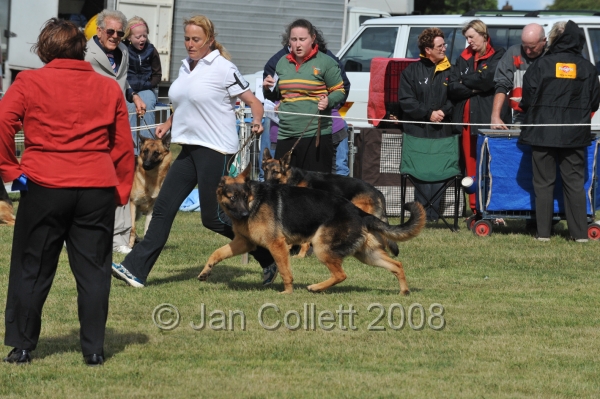 DOG_7357.JPG